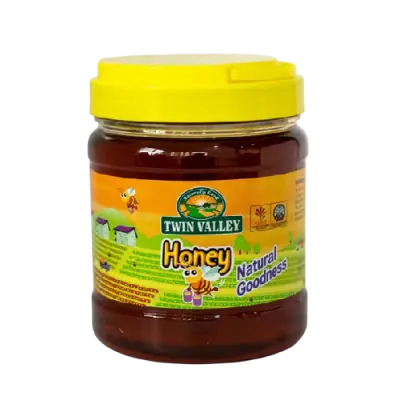 Twin Valley Honey 450g