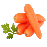 Carrot