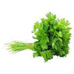 Coriander Leaf