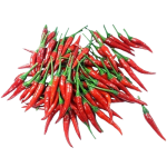 Red Chilli Padi