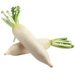 Radish