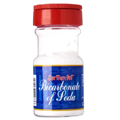 Earthen Pot Bicarbonate of Soda 100g