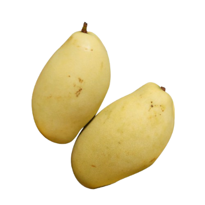 Gold Susu Mango