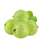 Green Guava
