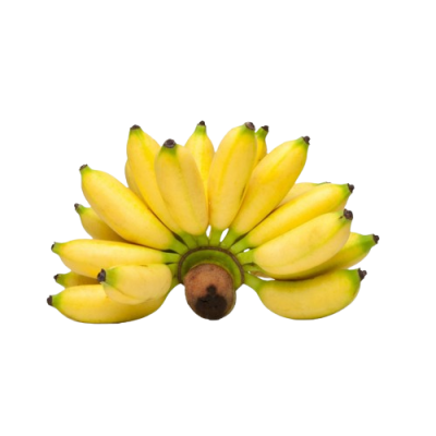 Moyan Banana