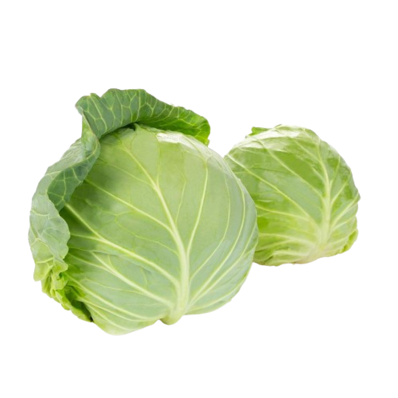 Cabbage