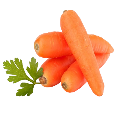 Carrot