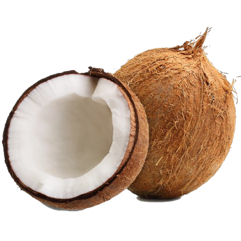 Coconut