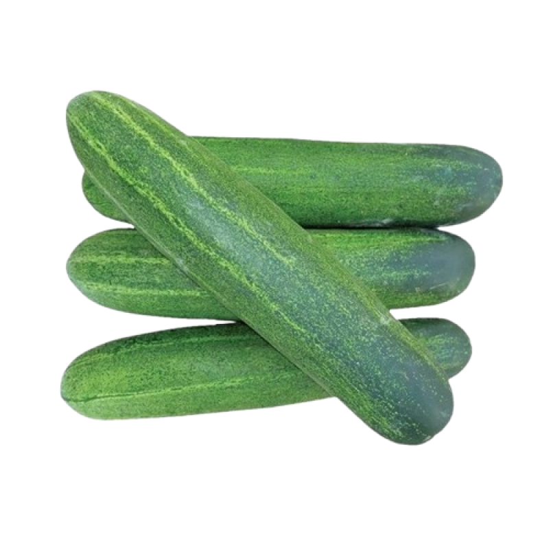 Cucumber