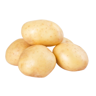 Holland Potato