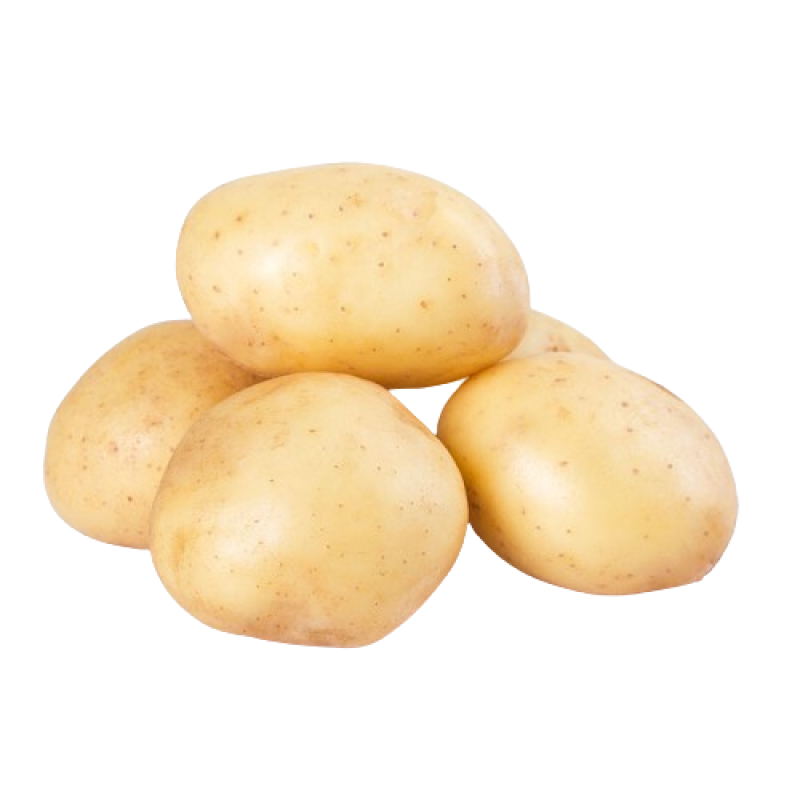 Holland Potato