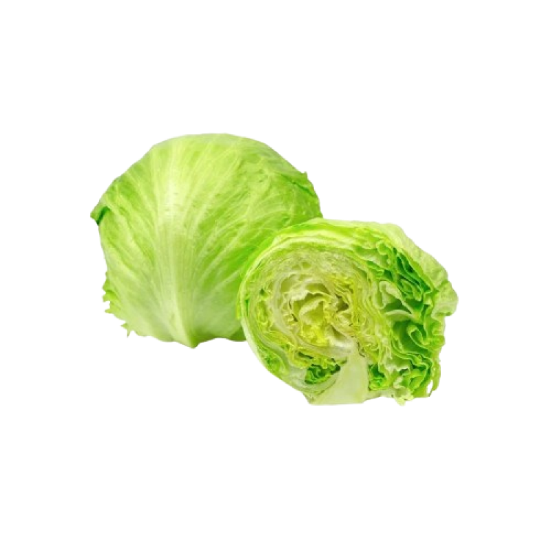 Iceberg Lettuce