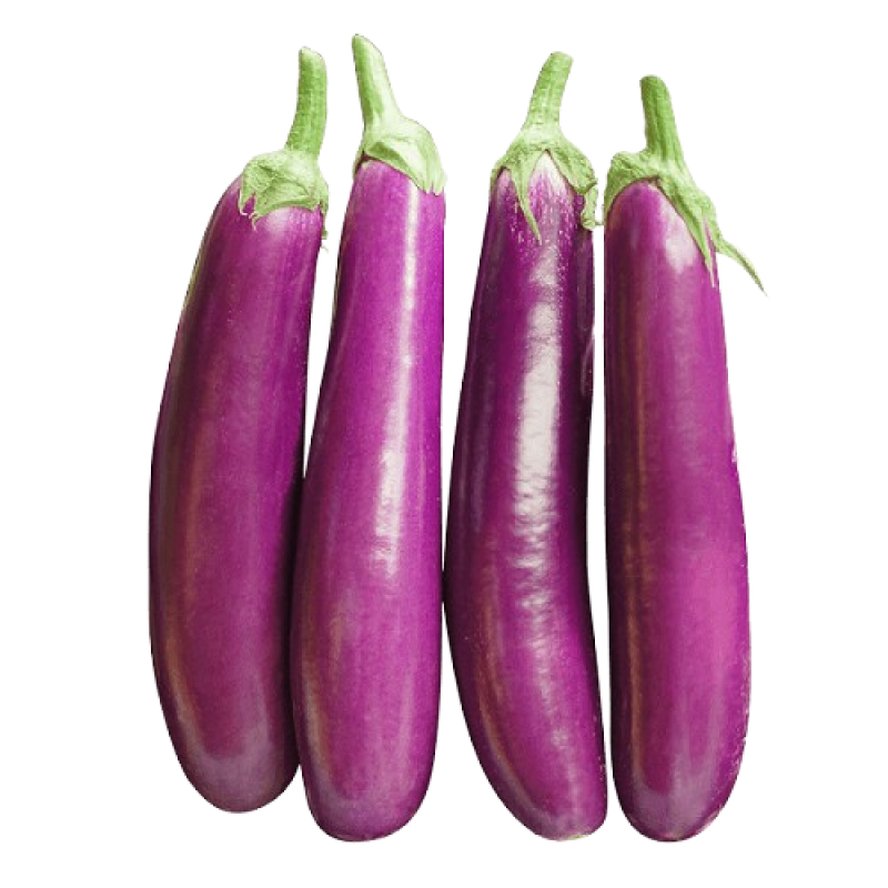 Long Brinjal