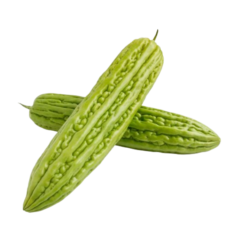 Malaysia Bitter Gourd