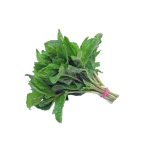 Mint Leaves