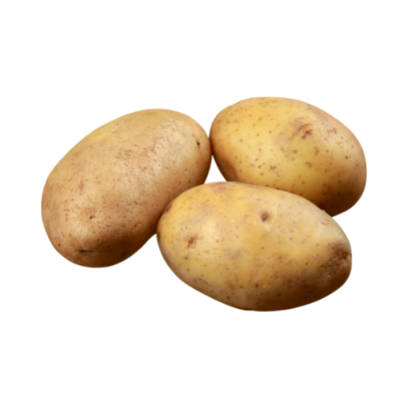 Potato