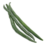 Snake Gourd