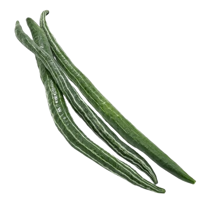 Snake Gourd