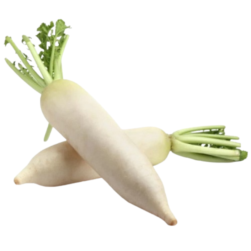 Radish